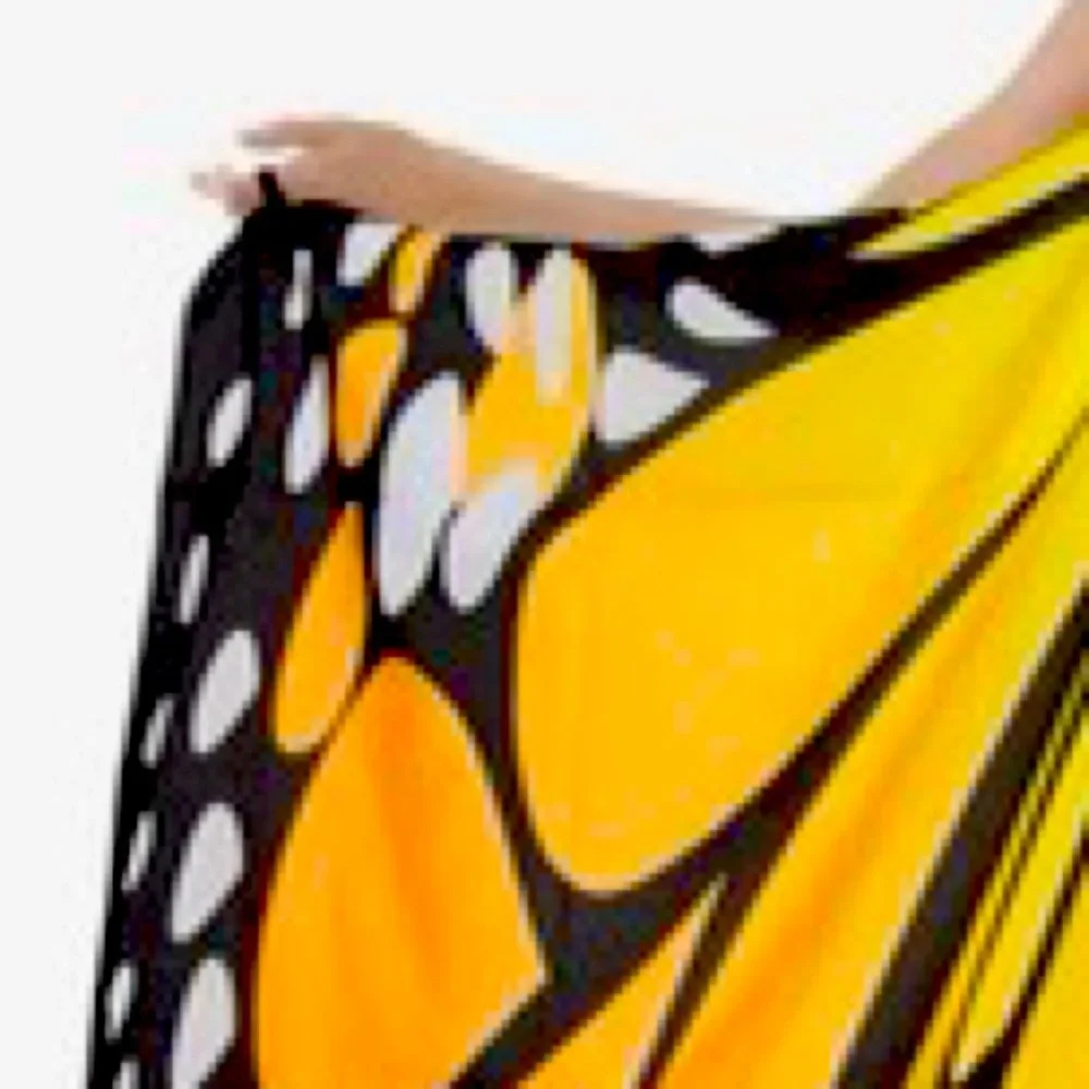 Butterfly wings and accessories - Picture 5 of 5